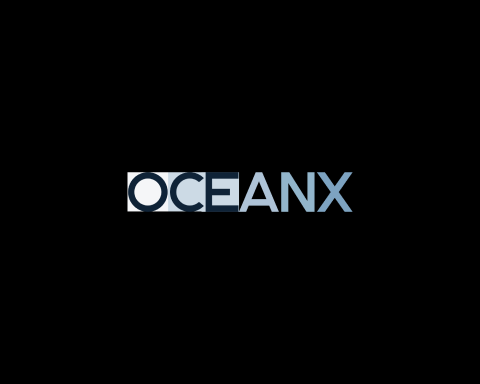 OceanX: “Connecting maritime companies and seafarers, offering comprehensive crew management, career support, and training for secure and fair employment.”